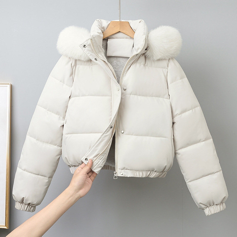 Winter Short Parkas Women's Co - огляд і ціна Wool Coat Peacoat